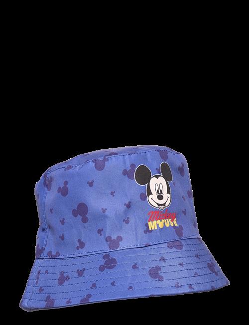 Disney | Bob | 52