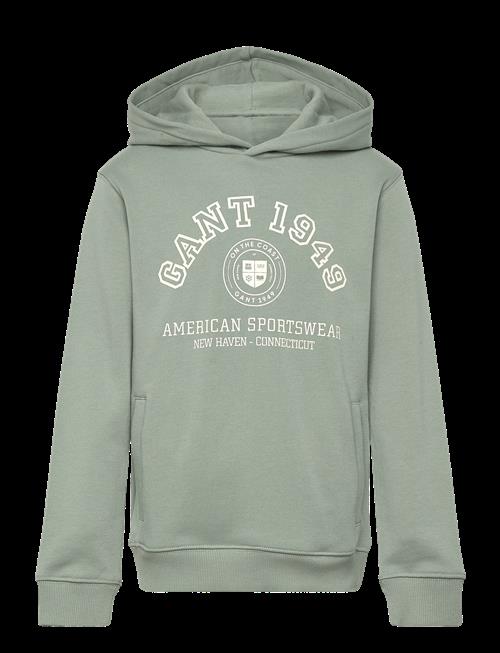 Gant Kids | Collegiate Logo Hoodie | 152
