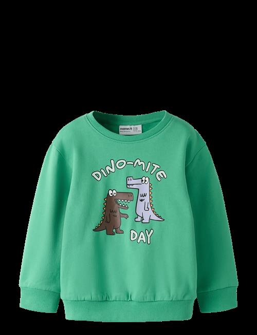 name it | Nmmdakkian Ls Nreg Swe Bru | 104