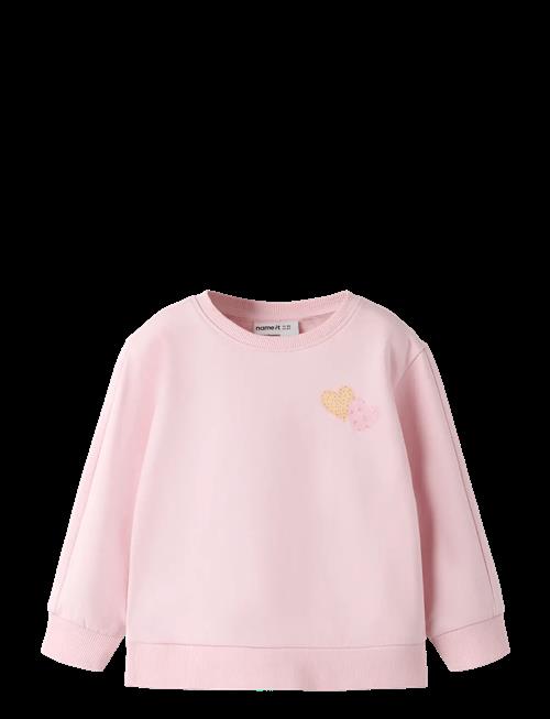 name it | Nmfdenila Ls Nreg Swe Bru | 104