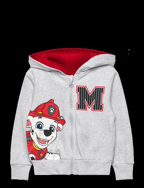 Paw Patrol | Sweats | 104