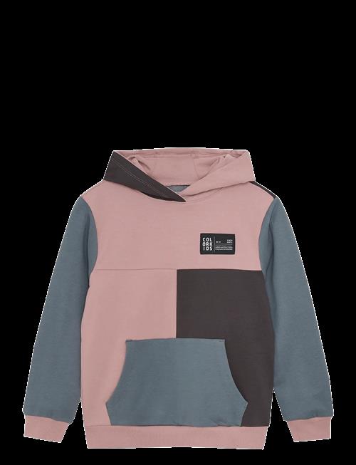 Color Kids | Sweat Hoodie - Colorblock | 116
