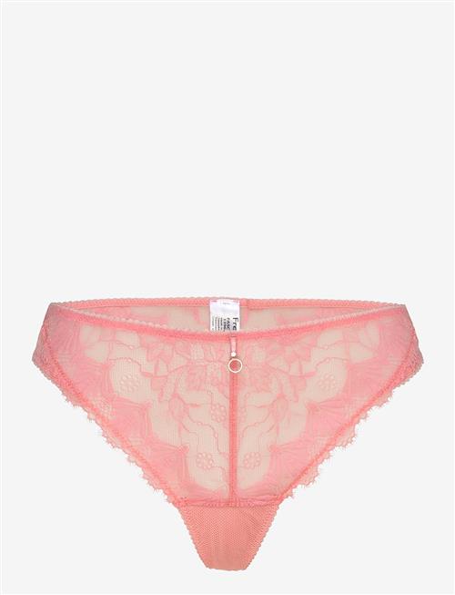 Freya | Fascinate | XL