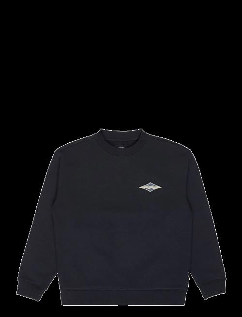 Billabong | Foundation Cr Y | M