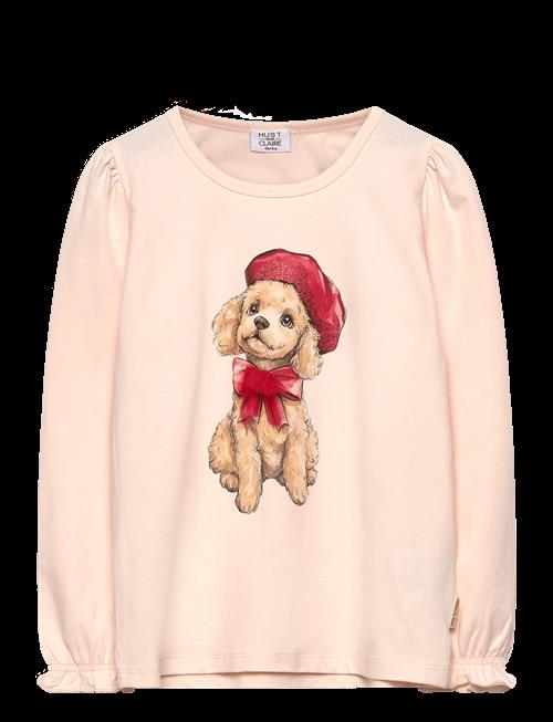 Hust & Claire | Hcalma Poodle | 98