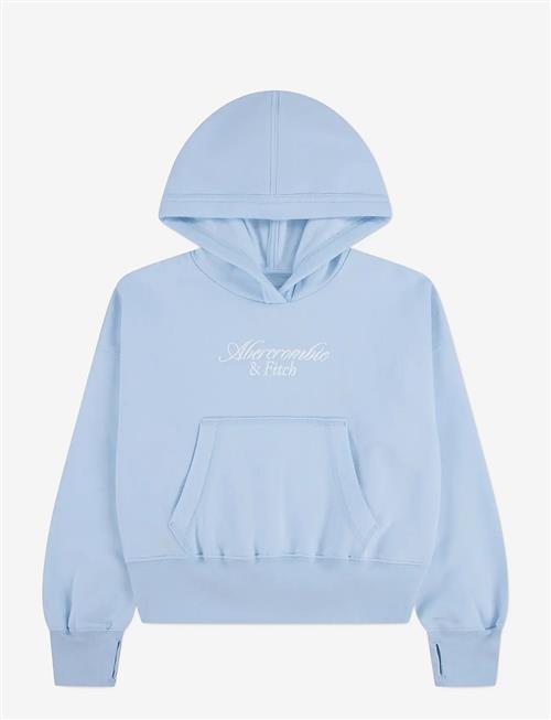 Abercrombie Kids | Po-Pull-Over Hoody | 155/159