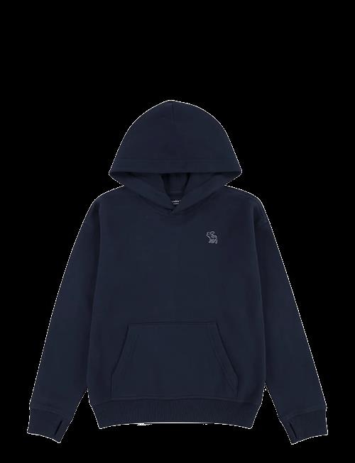 Abercrombie Kids | Po-Pull-Over Hoody | 128/147