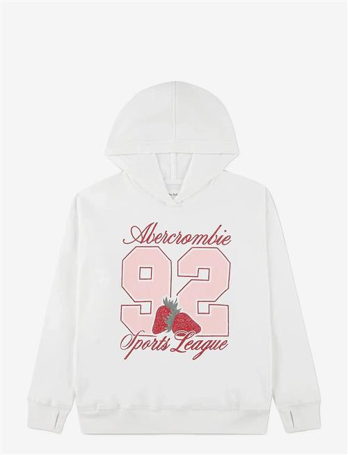 Abercrombie Kids | Po-Pull-Over Hoody | 13/14