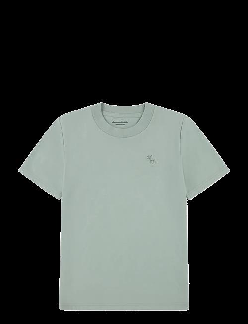 Abercrombie Kids | Te-S/S Tee | 128/147