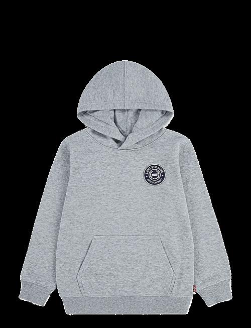 Levi's | Levi's® Modern Crest Pullover Hoodie | 110