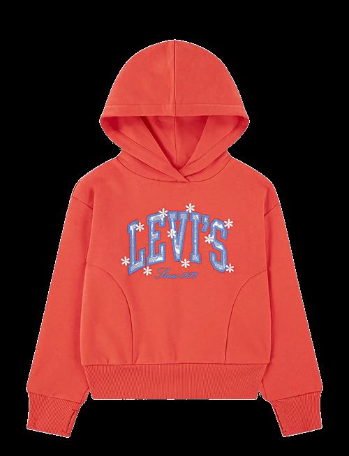 Levi's | Levi's® Graphic Logo Oversized Hoodie | 152