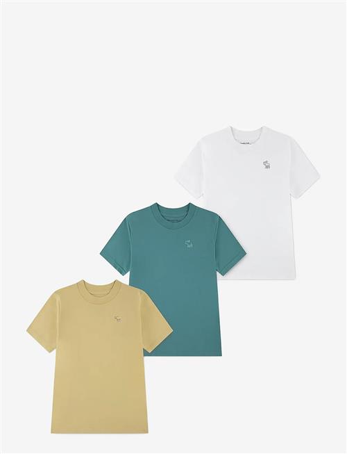 Abercrombie Kids | 3T-3Pk Ss Tee | 132/140
