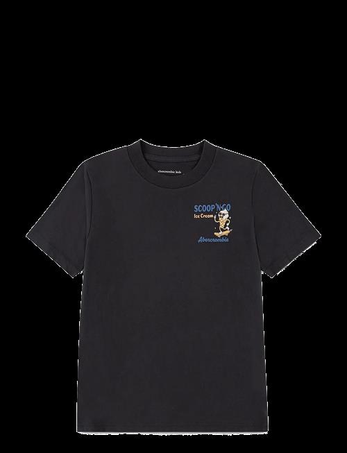 Abercrombie Kids | Te-S/S Tee | 128/147