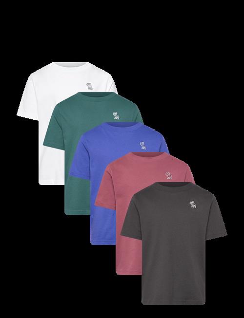 Abercrombie Kids | Ty-5Pk Tees | 128/147
