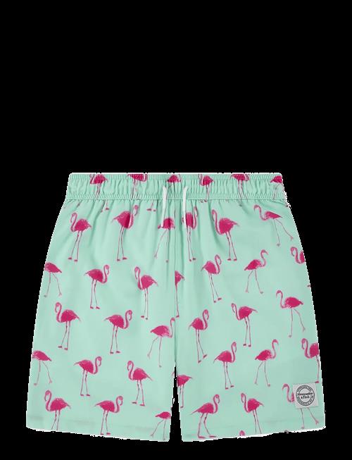 Abercrombie Kids | Sm-Swim Short | 128/132