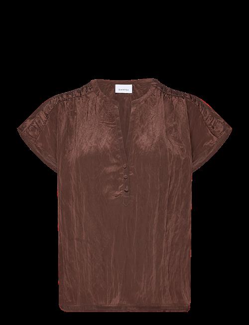 Dante6 | Dante6-Rover Detailed Top | 36