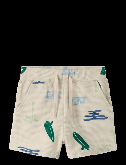 name it | Nmmfalcan Nreg Shorts | 116