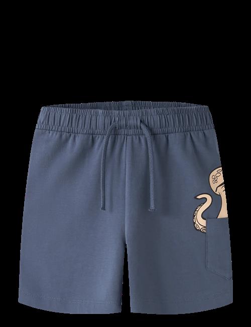 name it | Nmmfikz Nreg Shorts | 110