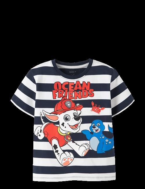name it | Nmmmilan Paw Ss Nreg Top Box Cplg | 104