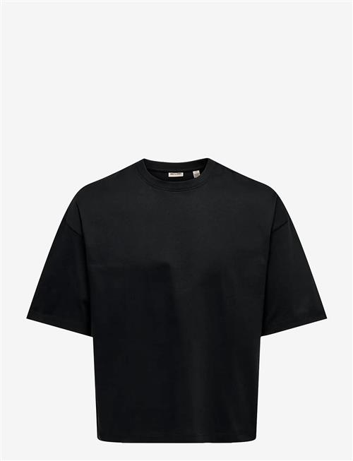 ONLY & SONS | Onsfred Rlx Ss Crop Tee | S