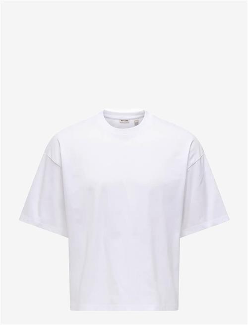 ONLY & SONS | Onsfred Rlx Ss Crop Tee | XXL