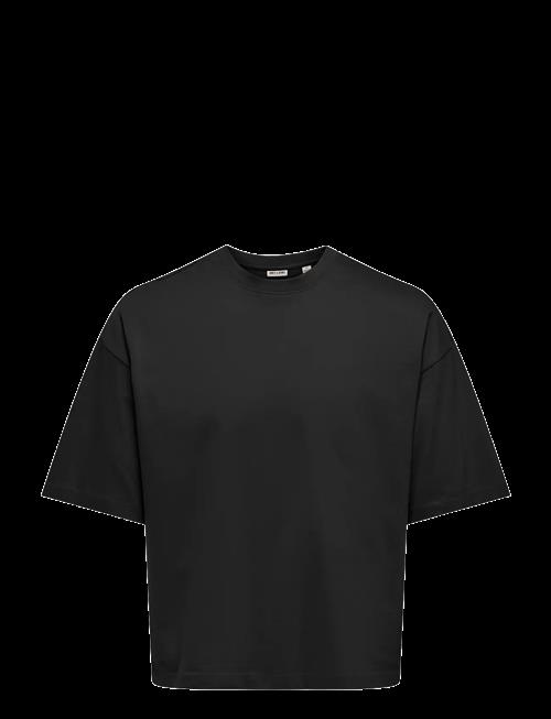 ONLY & SONS | Onsfred Rlx Ss Crop Tee | XXL