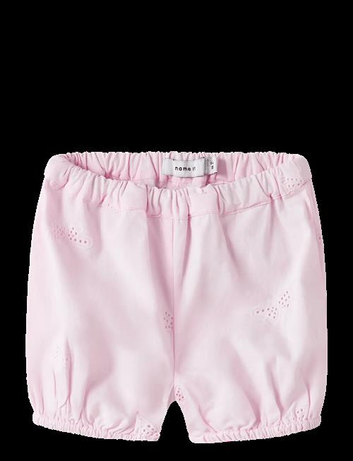 name it | Nbffinas Bloomer | 68