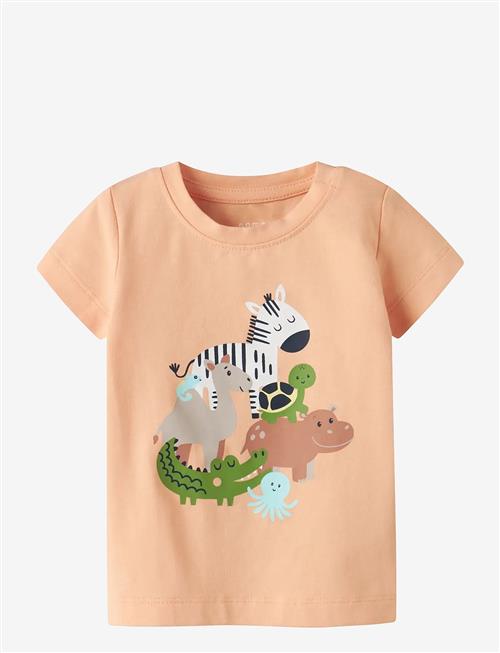 name it | Nbmfartil Ss Top Box | 62