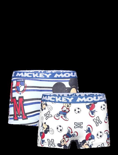 Disney | Boxer | 110/116