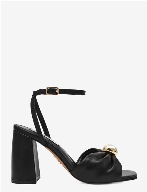 Steve Madden | Meladi | 42
