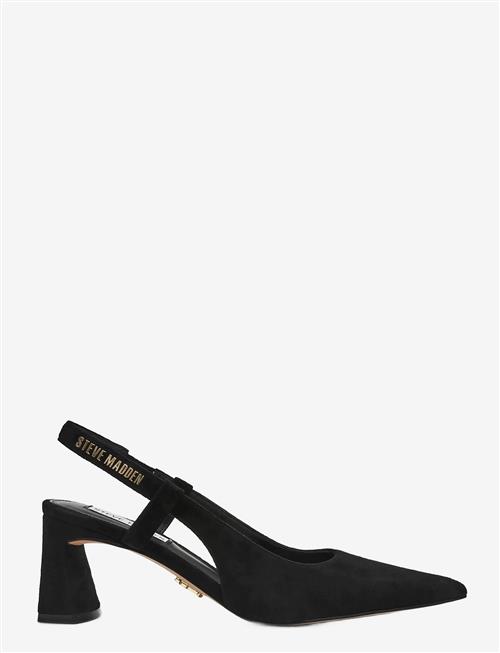 Steve Madden | Evanston | 37