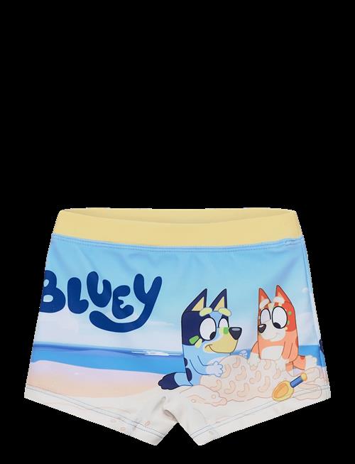 Bluey | Swimwear | 110