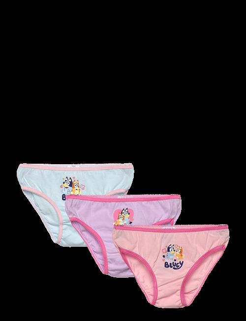 Bluey | Briefs | 98/104