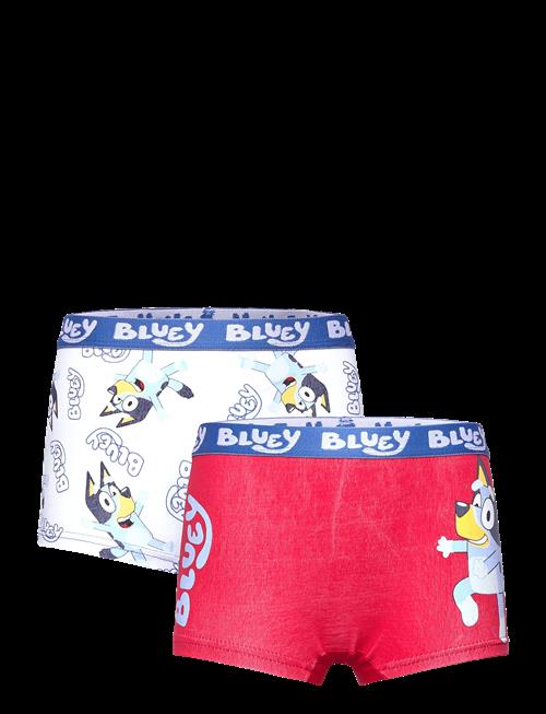 Bluey | Boxer | 98/104