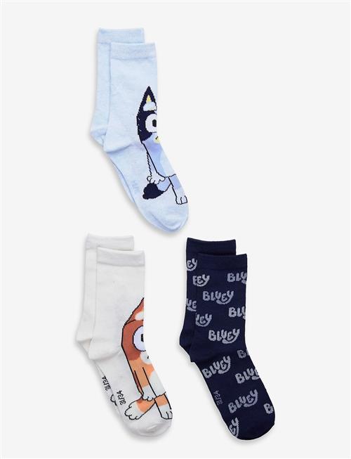 Bluey | Socks | 27/30