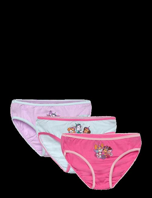 Paw Patrol | Briefs | 104/110