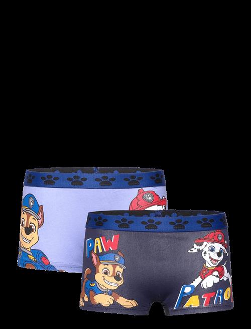 Paw Patrol | Boxer | 104/110