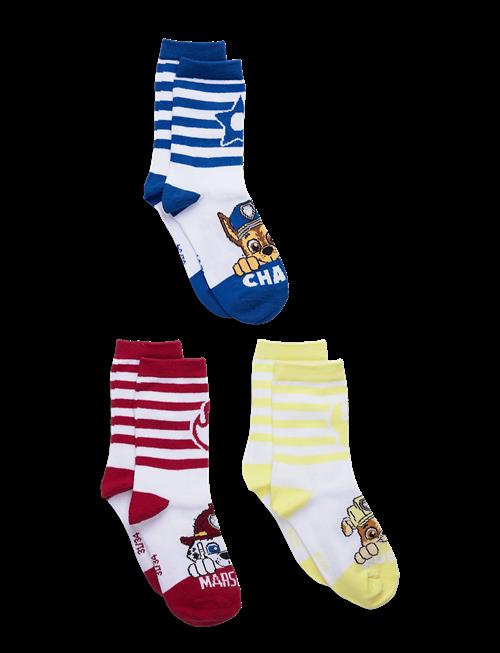 Paw Patrol | Socks | 23/26