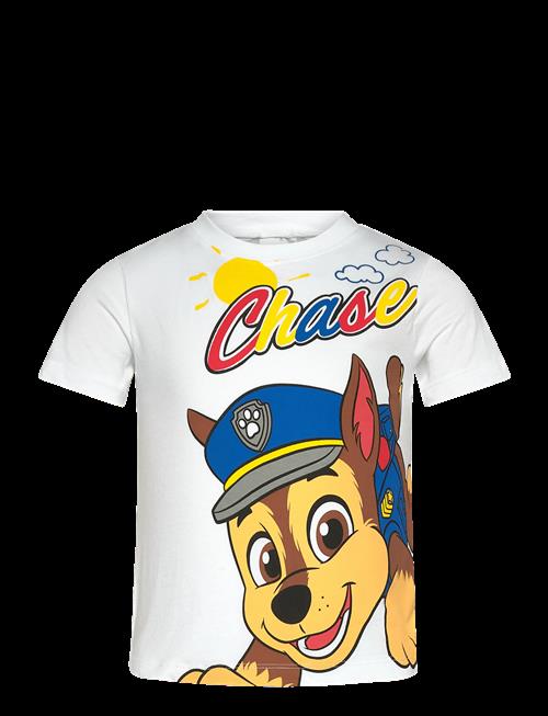 Paw Patrol | Tshirt | 98
