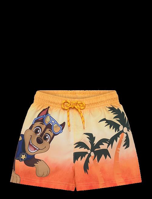 Paw Patrol | Swimwear | 116