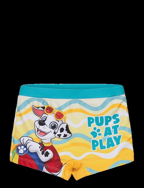 Paw Patrol | Swimwear | 104
