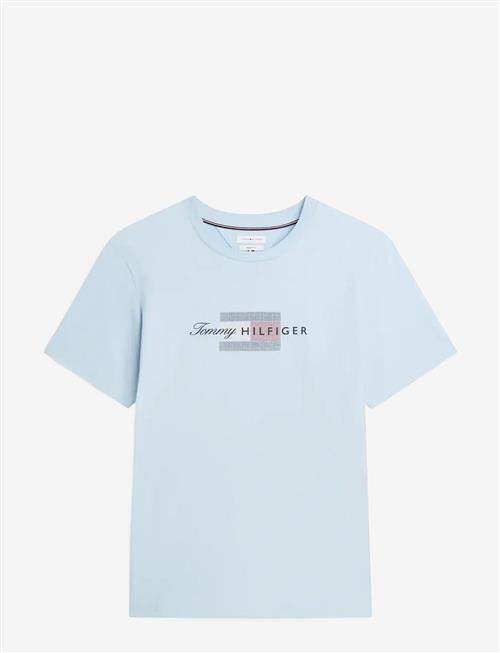 Tommy Hilfiger | Script Flag Regular Tee | M