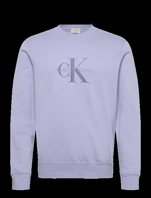Calvin Klein Jeans | Cl Ls 350Terry Mnlg Cn Swtshrt | XS