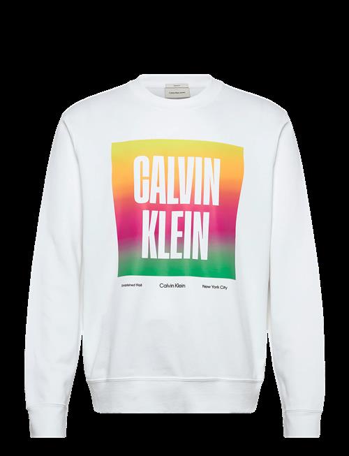 Calvin Klein Jeans | Ls 350Tery Calvn Prde Cn Swtshrt | XL