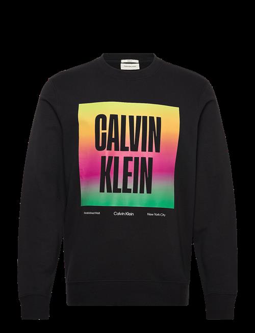 Calvin Klein Jeans | Ls 350Tery Calvn Prde Cn Swtshrt | M