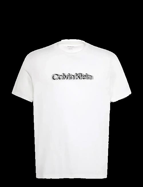 Calvin Klein | Ss 30S Eu Spw Puff Stndrd Graphi | XL