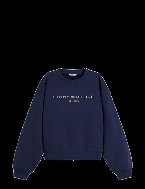Tommy Hilfiger | Ext Corp Logo Mdrn Swtsrt | L