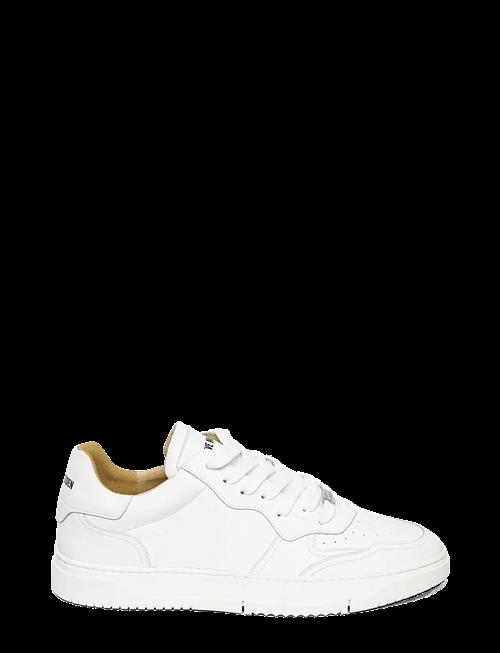Steve Madden | Shawn | 46