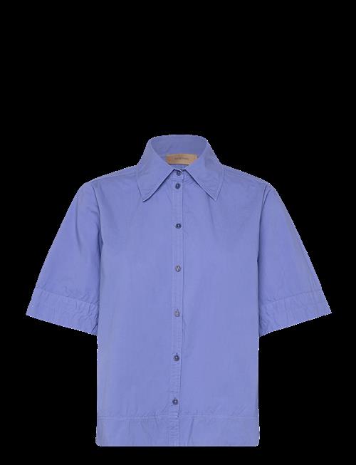 Rue de Tokyo | Seren Gmtd Poplin | XL