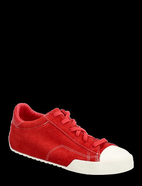 Converse | Chuck Taylor Lo | 38